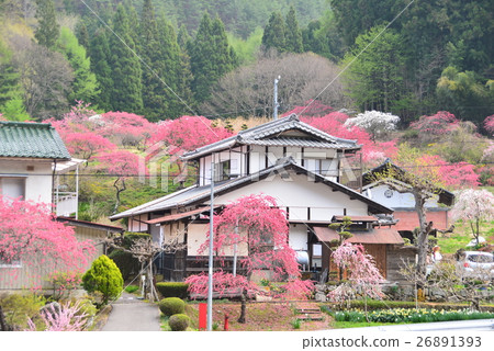 Ilosa Momo no Sato 26891393