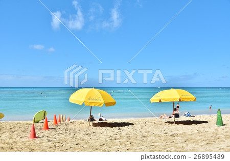 夏威夷的假期 夏威夷的假期 26895489