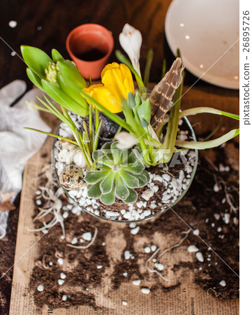 spring flowers 26895726