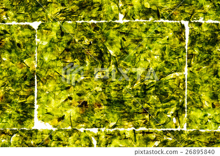 nori background 26895840