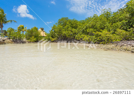 Flamingo beach at Aruba island Flamingo beach at Aruba island 26897111