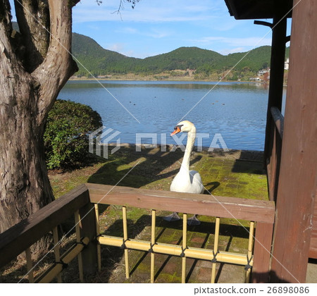 Utamidado Pond（拉姆薩爾公約登記池） 26898086