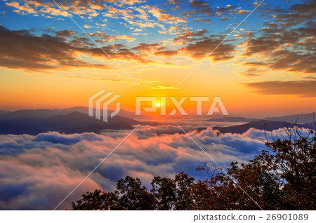 Seoraksan mountains is covered by morning fog. 26901089