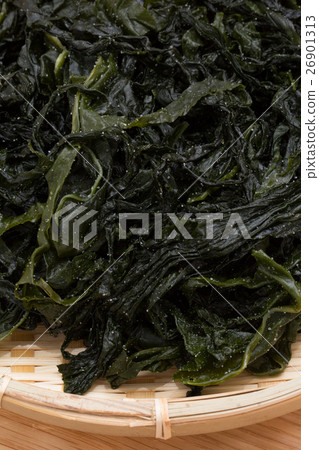 海藻海藻 海藻海藻 26901313