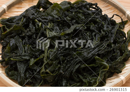 海藻海藻 海藻海藻 26901315