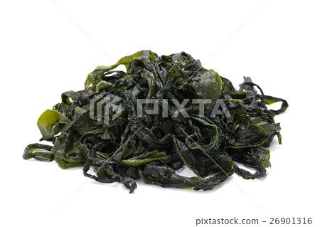 海藻海藻 海藻海藻 26901316