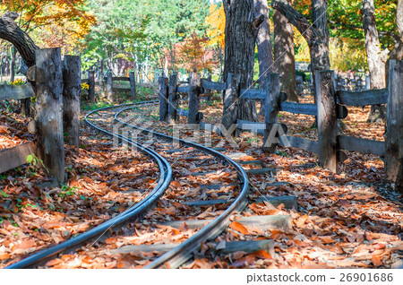 Railway in Nami island,Korea Railway in Nami island,Korea 26901686