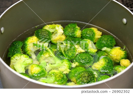煮新鮮採摘的西蘭花 煮新鮮採摘的西蘭花 26902302