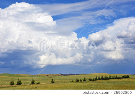 Beautiful cloudscape over green meadows 26902860
