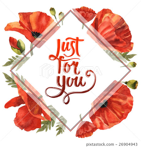 Wildflower poppy flower frame in a watercolor Wildflower poppy flower frame in a watercolor 26904943