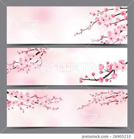 cherry blossom realistic vector, sakura, japan 26905218