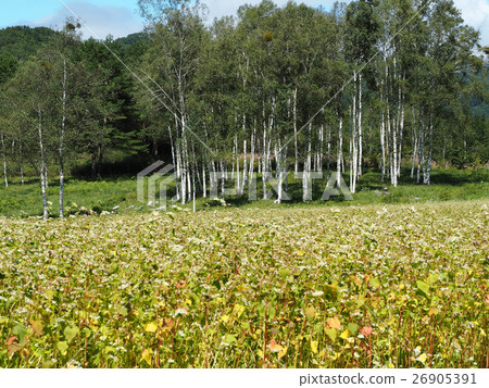 長野縣Kaeda Highland 26905391