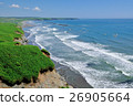 Seagull Flying Shoreline 26905664