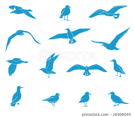 Silhouettes of flying seagulls. Silhouettes of flying seagulls. 26906044