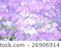 Flowers 26906914