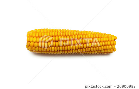 ear of corn isolated on white background 26906982