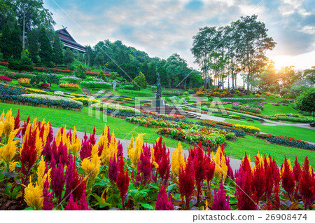 Mae fah luang garden locate on Doi Tung. Mae fah luang garden locate on Doi Tung. 26908474