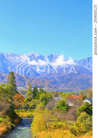 Autumn leaves and northern Alps [Nagano · Hakuba village] 26908525