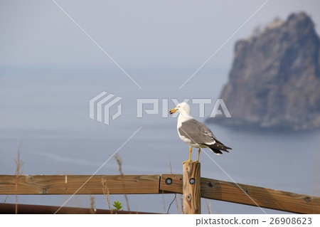 在Utoro“Okhotsk Sea and Kitty Cat” 在Utoro“Okhotsk Sea and Kitty Cat” 26908623