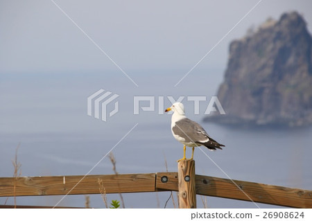 在Utoro“Okhotsk Sea and Kitty Cat” 在Utoro“Okhotsk Sea and Kitty Cat” 26908624