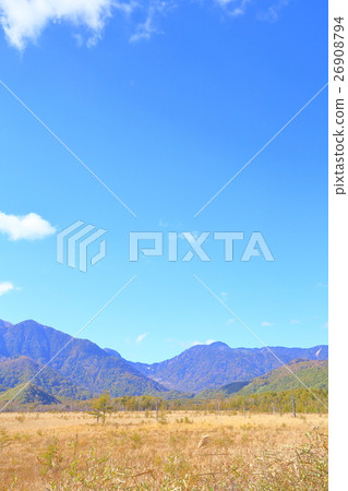 Senjogahara, which turns red and autumn leaves [Nikko National Park, Tochigi Prefecture] 26908794