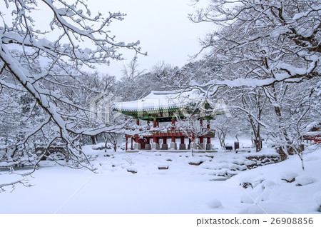 Baekyangsa Temple and falling snow. 26908856