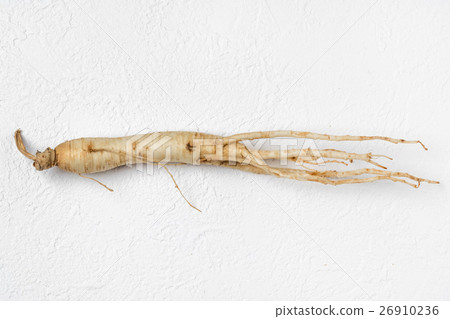 Korean ginseng Chinese medicine health food Chinese medicine and ginseng 26910236