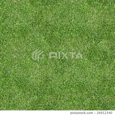 Seamless square green grass texture. 26912340