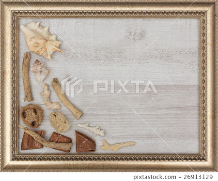 gilded picture frame with shells inside 26913129
