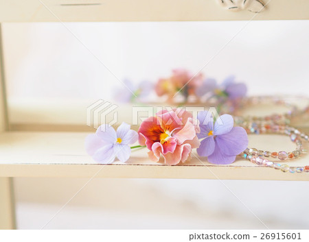 Pansy flowers placed in front of the mirror Pansy flowers placed in front of the mirror 26915601