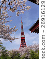 東京塔和櫻花 26916129