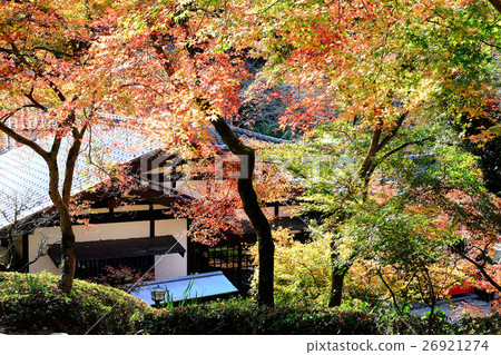 A small Kyoto in Chikuzen shining in autumn 26921274