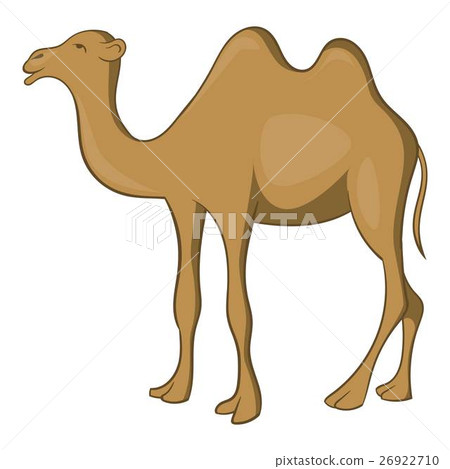 Camel icon, cartoon style Camel icon, cartoon style 26922710