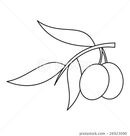Olive branch with olives icon, outline style Olive branch with olives icon, outline style 26923090