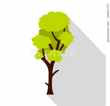 Green linden icon, flat style Green linden icon, flat style 26925757