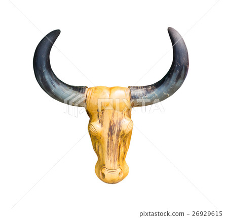 Head bull skull on white 26929615