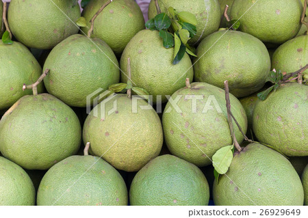 Pomelo or pummelo 26929649
