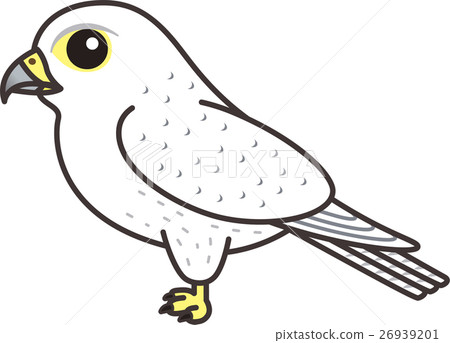 Illustration of white falcons Illustration of white falcons 26939201