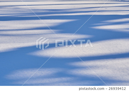樹的陰影在雪反射了 樹的陰影在雪反射了 26939412