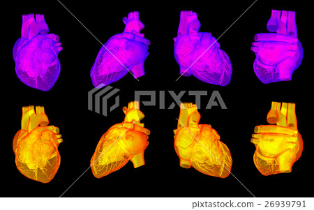 3D rendering of the human heart 3D rendering of the human heart 26939791