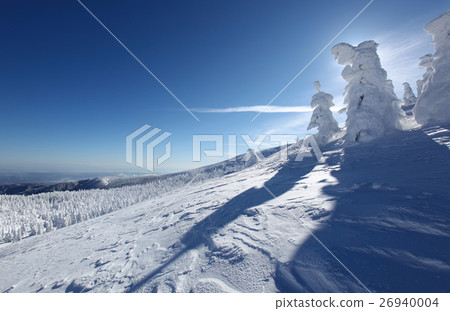 Zao Onsen Ski Resort ice Ice Zao Onsen Ski Resort ice Ice 26940004