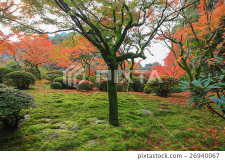 Autumn of Nine years 26940067