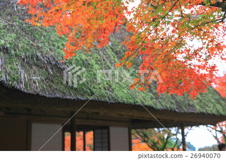 Autumn of Nine years Autumn of Nine years 26940070