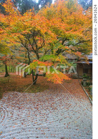 Komyo禪宗寺廟在秋天 26941624