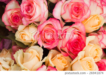 Pattern roses background Pattern roses background 26941874