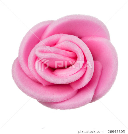 flower head on a white background flower head on a white background 26942805