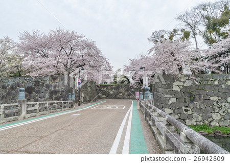 Hikone城堡Kyobashi嘴門風景在春天 26942809