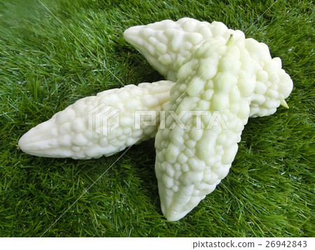 收穫的白色goya 26942843