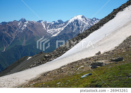 Dog on snow. Green grassy mountain valley Dog on snow. Green grassy mountain valley 26943261