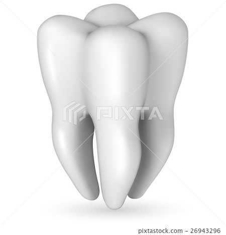 Healthy white molar tooth realistic illustration Healthy white molar tooth realistic illustration 26943296